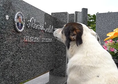 Ele olhava a foto de Ademar, como se estivesse esperando por ele. 