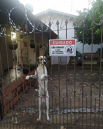 Zero é charmoso mas traiçoeiro.