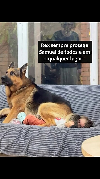 Rex se coloca na frente do menino para protegê-lo.