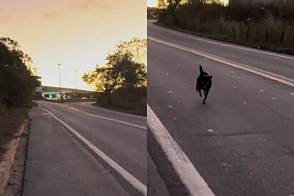 Mulher para imediatamente após notar que estava sendo seguida em rodovia.