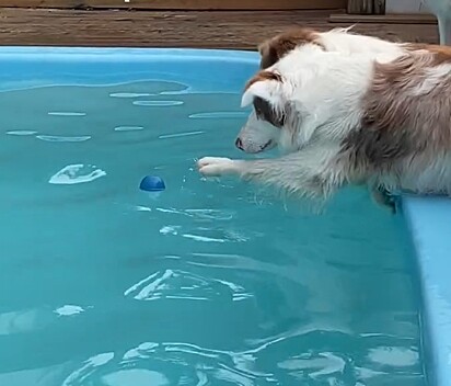 A bolinha parecia mais longe do que nunca.