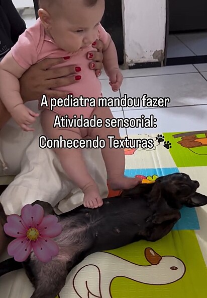 Lua adorou participar da atividade com sua irmã humana.