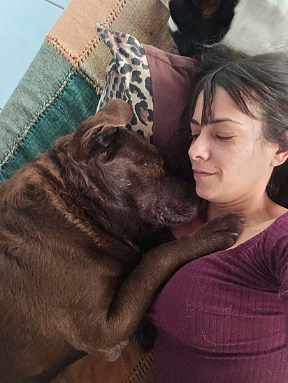 Marina realizou um sonho de infância em ter um labrador chocolate.