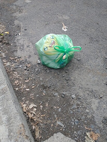 Na sacola, estavam os brinquedos da cachorrinha.