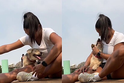 Jovem se emociona quando cachorro sem olhinhos se aproxima e lhe dá o gesto mais carinhoso de sua vida