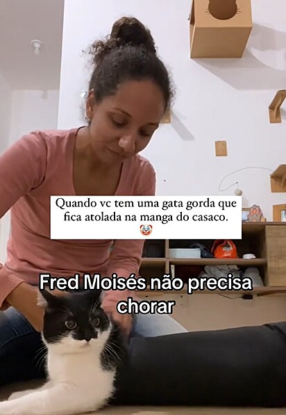 A gatinha ficou presa na manga do casaco de Débora.