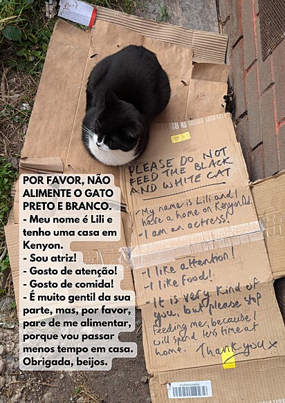 O bilhete ao lado da gata.