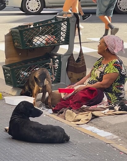 Sthefany notou uma mulher cercada por vários animais.