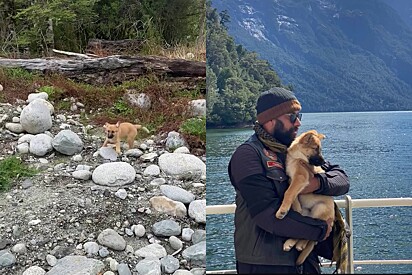 A cachorrinha seguiu viagem com a dupla de motoqueiros.