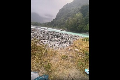 Enquanto buscava lugar para acampar, homem vê rostinho lindo sair do meio das pedras