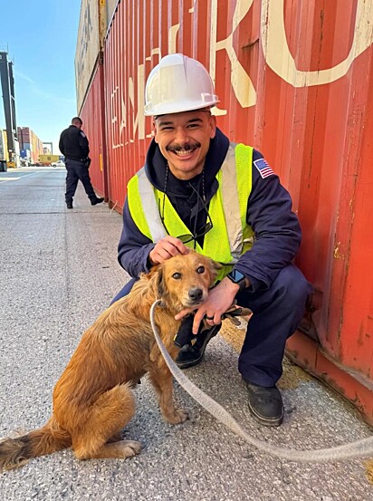 A cachorrinha foi encontrada dentro de um contêiner.