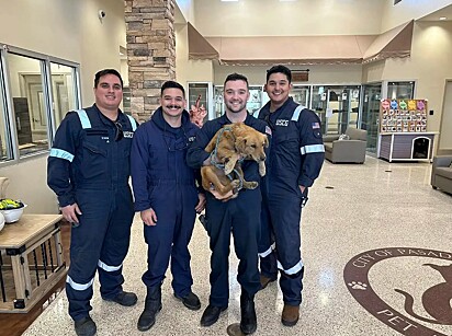 Equipe que resgatou a vira-latinha.