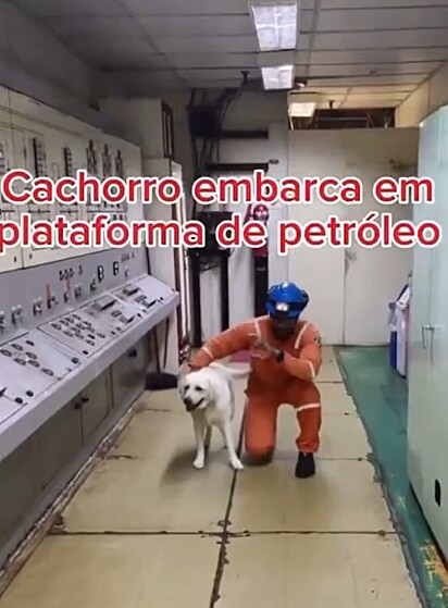 O cão adotou Robson como seu líder.