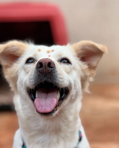 Kiara sorrindo após sua adoção.