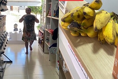 Em petshop, mulher tenta trocar bananas por ração para que seus cães não passem fome e cena emociona