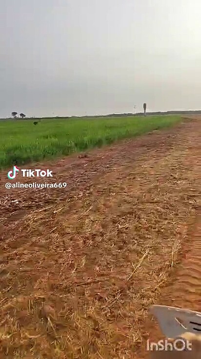 Enquanto a jovem gritava o namorado acelerava a moto.