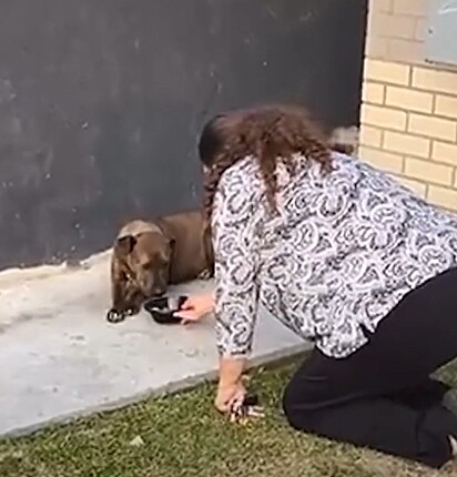 Laura encontrou a cachorrinha próximo a uma lixeira.