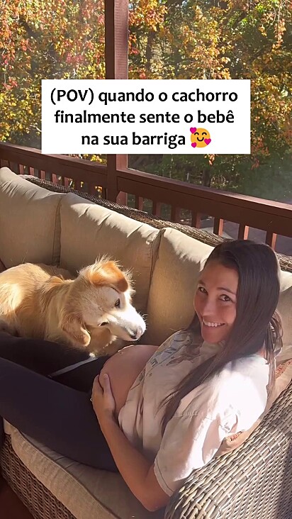 A tutora achou uma graça a curiosidade do cão.