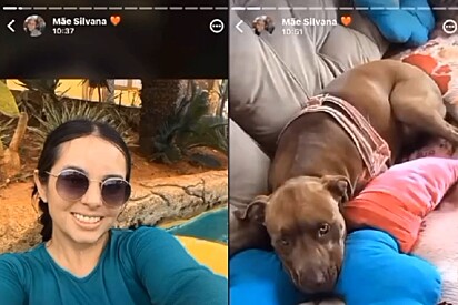 Filha e pitbull fazem aniversário no mesmo dia e homenagem da mãe deixa internautas rindo.