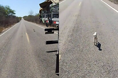 O gesto do motorista deixou internautas emocionados.