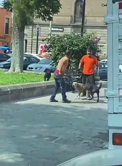 O homem não teve chance contra os cães.