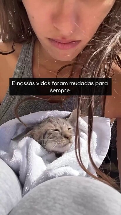 O gatinho se recuperou e foi adotado.