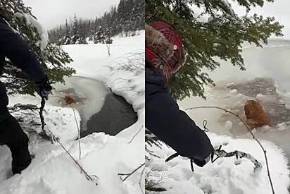 Durante férias no Canadá, família encontra alguém esperando por ajuda em lago congelado