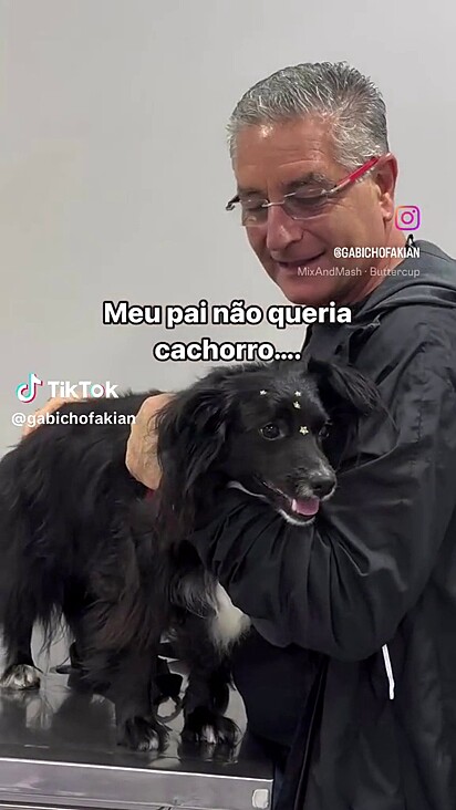 A cachorrinha ganha tudo do bom e do melhor na casa dos avós.