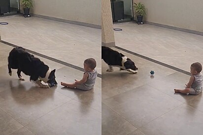 A cachorrinha Poly e o bebê Lucas adoram brincar juntos.