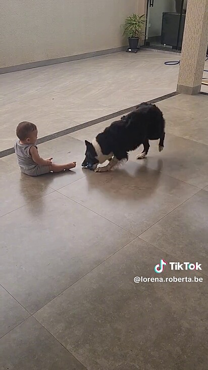 A mãe assustou com a gargalhada do bebê, mas percebeu que estava tudo bem.