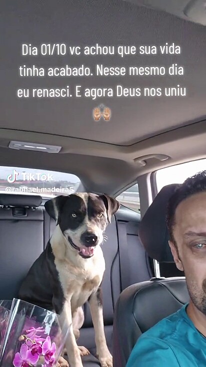 O cão estava abandonado há dez dias.