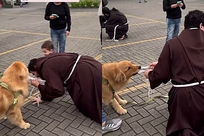 O cão queria de todas as formas ser abençoado.