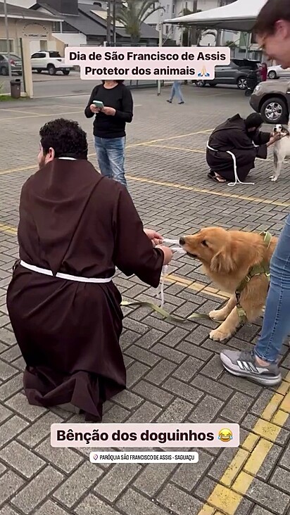 Apesar de ter deixado o frei em apuros o cão foi abençoado.