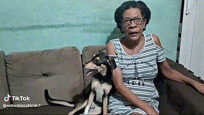 A tutora afirmou que ele é seu maior cãopanheiro.