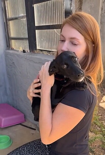 O cachorrinho Provolone percebeu que, pela primeira vez, estava seguro. 