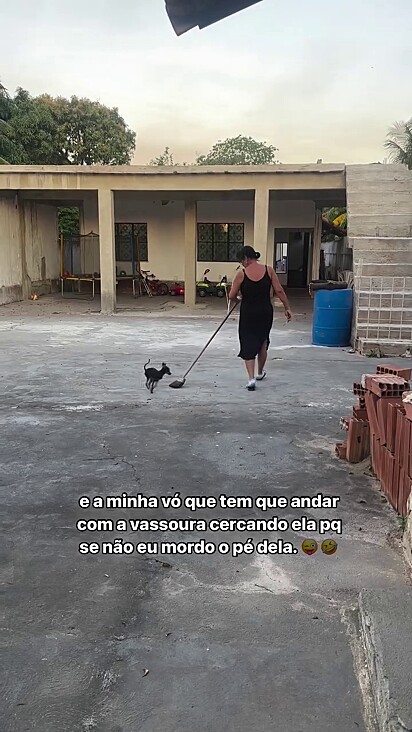 O cãozinho sabe o que precisa fazer para cuidar do quintal.