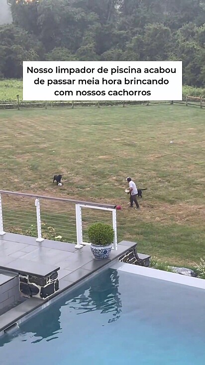 O homem demonstrou carinho pelos cães.