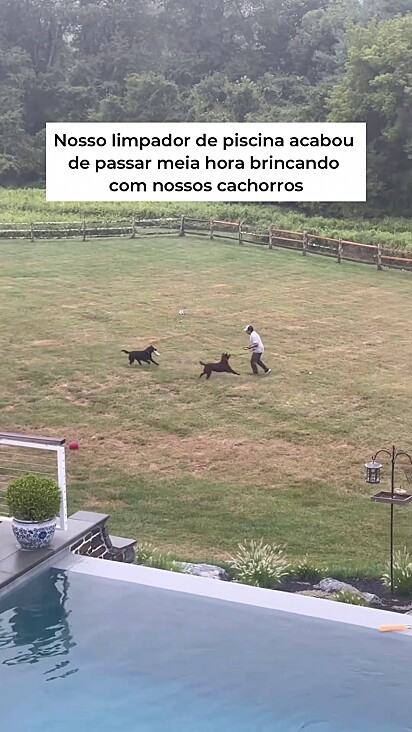 Os cachorros pareciam alegres por receber atenção.