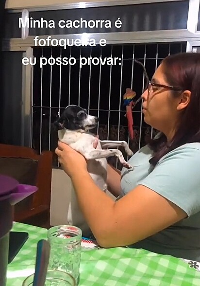 A cachorrinha Dark fofocando para sua tutora, Alicia De Cassia.