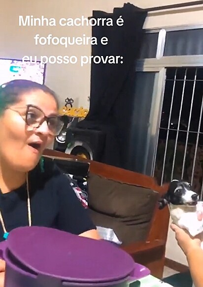 Os cães podem ser dramáticos.