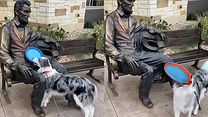 Cadela fica chateada porque estátua de Abraham Lincoln não quer jogar frisbee com ela