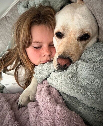 Ela nos traz tanta paz ao ver sua lealdade com nossa menina.