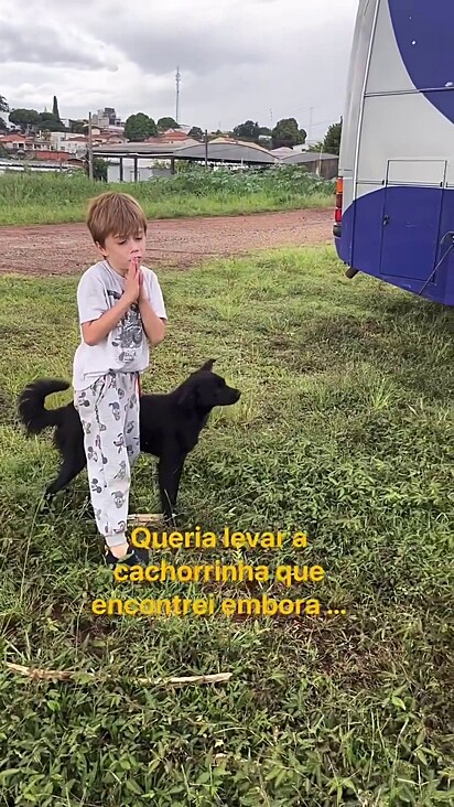 O menino e a vira-lata se tornaram melhores amigos.