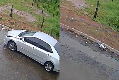 O abandono foi registrado por câmeras de segurança.