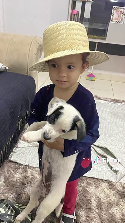 Agora ela está em um novo lar ganhando carinho e amor.