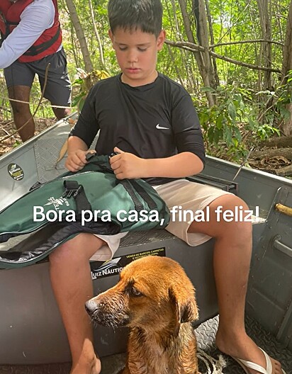 O cão sobrevivente foi adotado pela família e recebeu o nome de Guerreirinho.