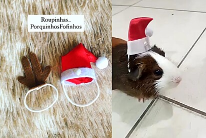 6. Gorro Noel Chifrinhos de Rena para Pequenos Pets 