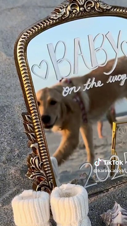 A cachorrinha transformou a revelação e deixou tudo melhor.