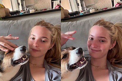 Jovem simula espirrar perto de cão espirrofóbico e acaba registrando a cena mais carinhosa