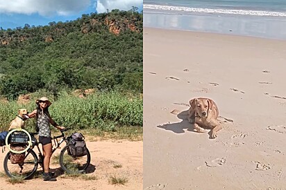 Juntas elas já percorreram a Argentina e várias praias do Nordeste Brasileiro.